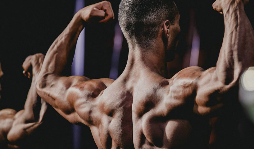 Steroids for Muscle Mass
