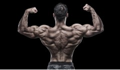 Effects of Anabolic Steroids
